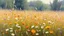 Placeholder: Realistic oil painting of a field of wildflowers, soft natural lighting, vibrant colors, intricate details by Thomas Moran and Claude Monet (wide shot), peaceful and serene atmosphere.