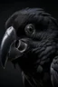 Placeholder: Black parrot Portrait