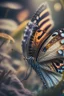 Placeholder: butterfly portrait in fungus garden, hi detail, 4k, clear focus, depth of field, color correction, studio quality, backlight