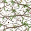 Placeholder: Real Tree Camouflage made of sticks, twigs, leaves, pine branches, snow and dirt, white background, seamless repeatable texture pattern imitating a natural forest background