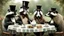 Placeholder: Anthropomorphic European badger wearing a tophat and having a tea party with his other anthropomorphic animal buddies. Illustration.