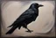 Placeholder: crow .19th painting