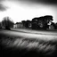 Placeholder: A landscape, odd black and white old photo, dystopic atmosphere, trees, some odd houses, George Grosz