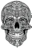 Placeholder: outline art for horror coloring pages for adults with skull, white background, Sketch styl, only use outline. Mandala style, clean line art, no shadows and clear and well outlined, Intricate Patterns and Details