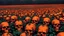 Placeholder: a field of 1000s of cartoonish, anatomically correct, skulls, vivid RANDOM BRIGHT neon colors, dark comedy, well lit, high detail, photorealistic, horrorcore, fun, scary, none featured, each a different color or hue,