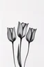 Placeholder: Minimalist Charcoal drawing of 3 tulips on a textured gesso background
