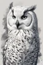 Placeholder: ink wash and watercolor illustration of a hybrid Snowy Owl girl with highly detailed feathers and facial features , with a fine art aesthetic, highly detailed , realistic , 4k UHD cinegraphic quality