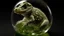 Placeholder: Crocodile Embryo