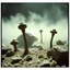 Placeholder: A striking quality close-up Kodak photograph captures a wasteland with odd stones, odd spindle-shaped objects, spooky, creepy, details of the dust very accentuated, glossy, organic, adorned with minerals and rocks, fog, feeble light, eerie, Yves Tanguy style, volumetric light, fog