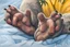 Placeholder: back feet of a koala