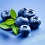 Placeholder: Blueberry Vitamins and Minerals