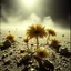 Placeholder: A striking quality Agfa photograph captures a wasteland with creepy odd flowers, details of the dust very accentuated, glossy organic mass, adorned with minerals and rocks. Bathed in intense light, eerie, Yves Tanguy style, black sun, fog