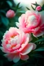 Placeholder: The flowers are pink delicate peony ...bush , English watercolor, hyperdetalization delicate pastel tones , hazy , mirage , haze , aesthetically pleasing, beautiful, bright lighting