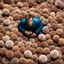 Placeholder: looking down from high above, James T Kirk, in star trek uniform, squeezing out of a big pile of tribbles