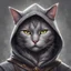 Placeholder: dnd, portrait of hooded gray male cat-human