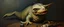 Placeholder: master oil painting by Rembrandt, creature from before the dinosaur alien seal gremlin