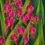 Placeholder: a highly detailed painting of Dracula orchid, seamless pattern, Romanticism, high resolution, oil on canvas