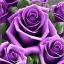 Placeholder: purple rose garden