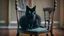 Placeholder: A black cat sitting on a chair in a room.