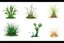 Placeholder: "Isolated concept art of multiple types of alien grass on a plain neutral background. Designed for different biomes: Forest biome – lush, dense, tall grass with strange broad blades, glowing tips, and twisted leaves. Swamp biome – slimy, wet, moss-like grass with tangled roots, bioluminescent details, and spongy textures. Desert biome – dry, spiky, brittle grass with sharp edges, thorn-like blades, and pale dusty colors. Each grass type should have a unique silhouette and texture.
