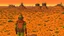 Placeholder: Desert warrior from behind looking at a city in the distance, comic style