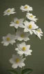 Placeholder: White flowers,