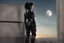 Placeholder: Fantasy Photo Of A Woman With Black Hair, Wearing A robot-looking suit, standing sideways On A Ledge of a building, With A waning moon Behind Her Head