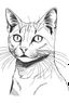 Placeholder: cat line art , outline