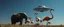 Placeholder: this stupid ufo aint real, it was created with some hoaxster with some serious self esteem problems, but its sucking in elephants and flamingos by their ears