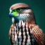 Placeholder: Falcon animal wearing a leather clothing, alchemist, fantasy, , digital 2d, , trending on artstation, high quality