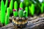 Placeholder: cute cacti creature on driftwood in the flowergarden