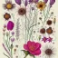 Placeholder: delicate arrangement of pressed flowers, beautiful composition, aesthetic layout, wildflowers, fine lineart, botanical illustration