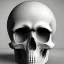 Placeholder: crystal skull portrait, simmetric eyes, ambient, ultra realistic photo, unreal engine, paloroid, 100mm --aspect ratio 1:1