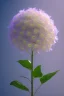 Placeholder: an isolated translucent hydrangea plant, 3d render, art nouveau style, ultra realistic, masked transparent flat background, backlight, popular on sketchfab, pixelsquid, 8k, volumetric lighting, super focused, no blur, trending on artstation, octane render, ultra detailed, hyperrealistic, by artgerm and alphonse mucha