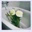 Placeholder: Lisianthus in the bathtub, polaroid