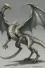Placeholder: dnd silver drake no wings
