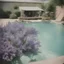 Placeholder: lavender in a swimming pool, autochrome