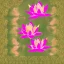 Placeholder: pink lotus, golden elements, paper gain