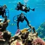 Placeholder: photo, monkeys, scuba, reef