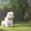 Placeholder: small, fluffy white dog leaving house