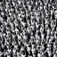 Placeholder: full colour man, stands out from black and white crowd,