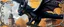 Placeholder: portrait of a shiny black dragon squirrel in autumn, flying above wooden castle, breathing smoke, book cover illustration, with swirly metallic 3d border