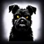 Placeholder: an angry scruffy black terrier on black background, yellow eyes, defined teeth, vector illustration
