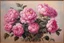 Placeholder: pink pieons .19th painting
