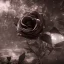 Placeholder: black rose, RTX, TXXA, SSAO, High quality,hyperrealistic, cinematic, Super detailed, Anti-Aliasing,Full color, HDR,4k