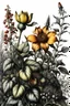 Placeholder: botanical pen and ink illustration, ultra realistic, award-winning: atmospheric: commanding: fantastical: clarity: 16k: ultra quality: striking: brilliance: stunning colors: masterfully crafted in the style of Albrecht Durer and Rogan Brown