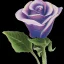 Placeholder: purple flower, greeting card illustration