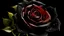 Placeholder: Create black small rose colour and colour background