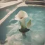Placeholder: arum lily in a swimming pool, damaged polaroid, sunny day