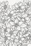 Placeholder: flowers coloring page for kids, jasmine, cartoon style, thick outline, low details, no shading, no color